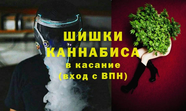 ПСИЛОЦИБИНОВЫЕ ГРИБЫ Наволоки