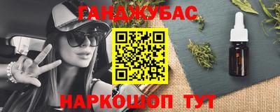 СК Гатчина