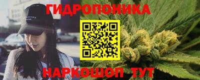 гидропоника Гагарин