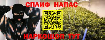 СК Гатчина