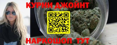 СК Гатчина