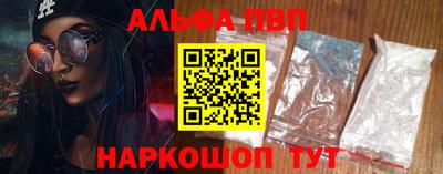 СК Гатчина