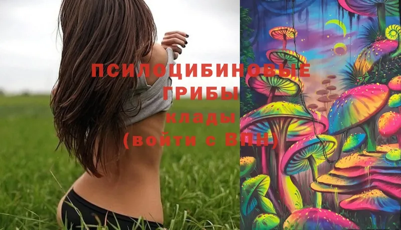 Галлюциногенные грибы Magic Shrooms  kraken вход  Карпинск 