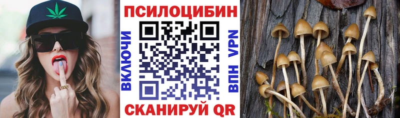 Псилоцибиновые грибы Cubensis  Карпинск 