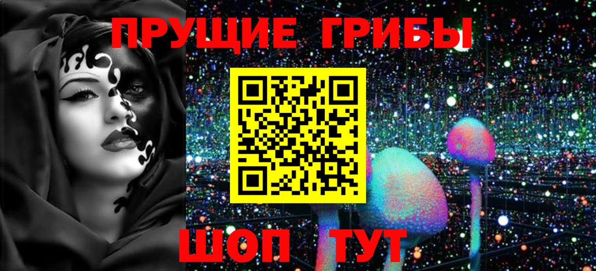 Псилоцибиновые грибы Cubensis  Псилоцибиновые грибы мухоморы  Вход с VPN  Карпинск 