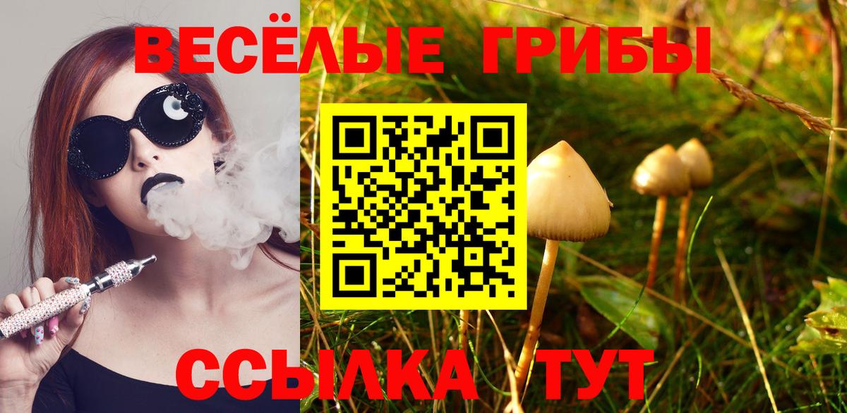 ГАШИШ Карпинск
