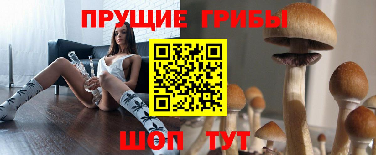 Галлюциногенные грибы мицелий Карпинск